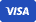 Visa icon