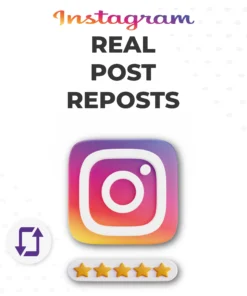 Buy Real Instagram Reposts from Socialfy24