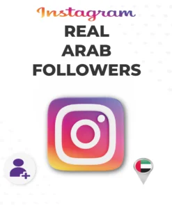 Buy Real arab Instagram Followers from Socialfy24 - UAE, KSA, Egypt, Morocco real followers